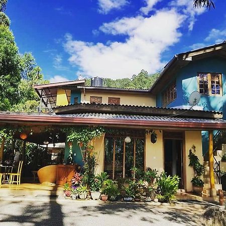 Waterfalls Homestay Ella Exterior photo