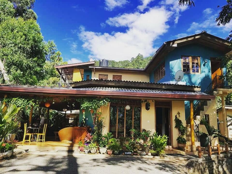 Waterfalls Homestay Ella Exterior photo